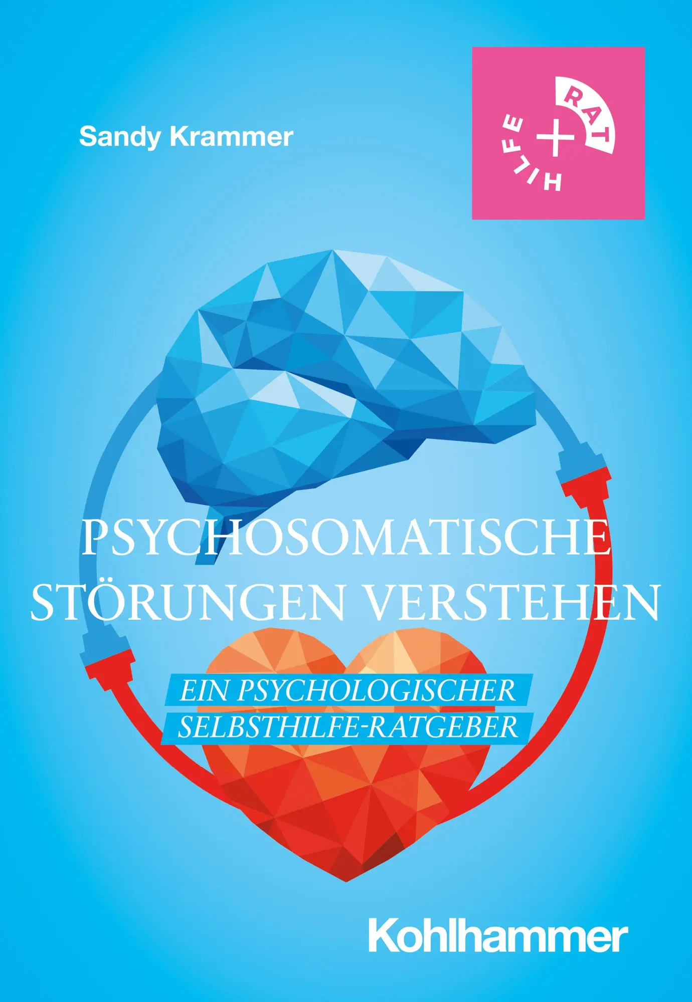 Cover: 9783170414280 | Psychosomatische Störungen verstehen | Sandy Krammer | Taschenbuch